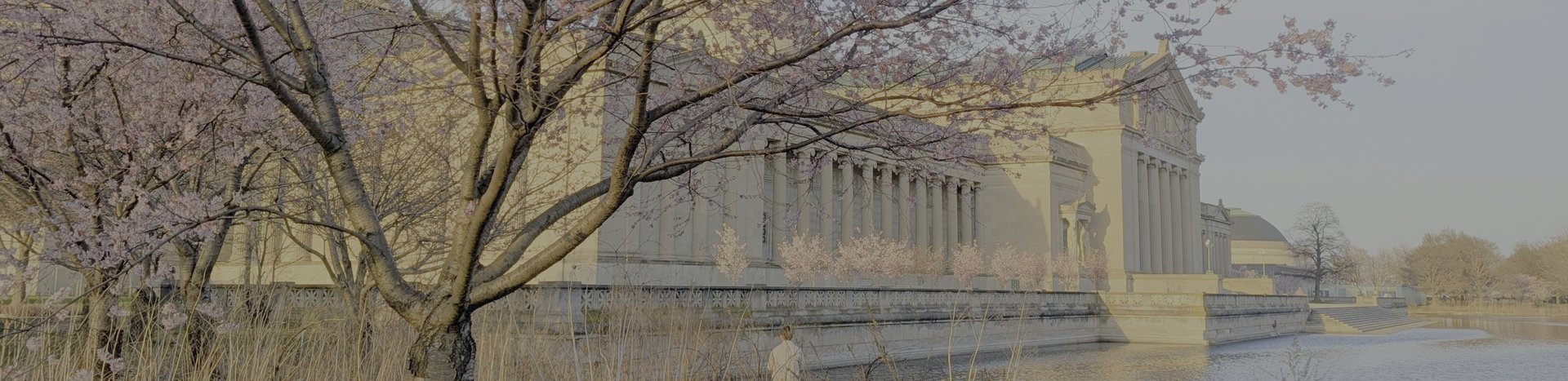 Chicago spring